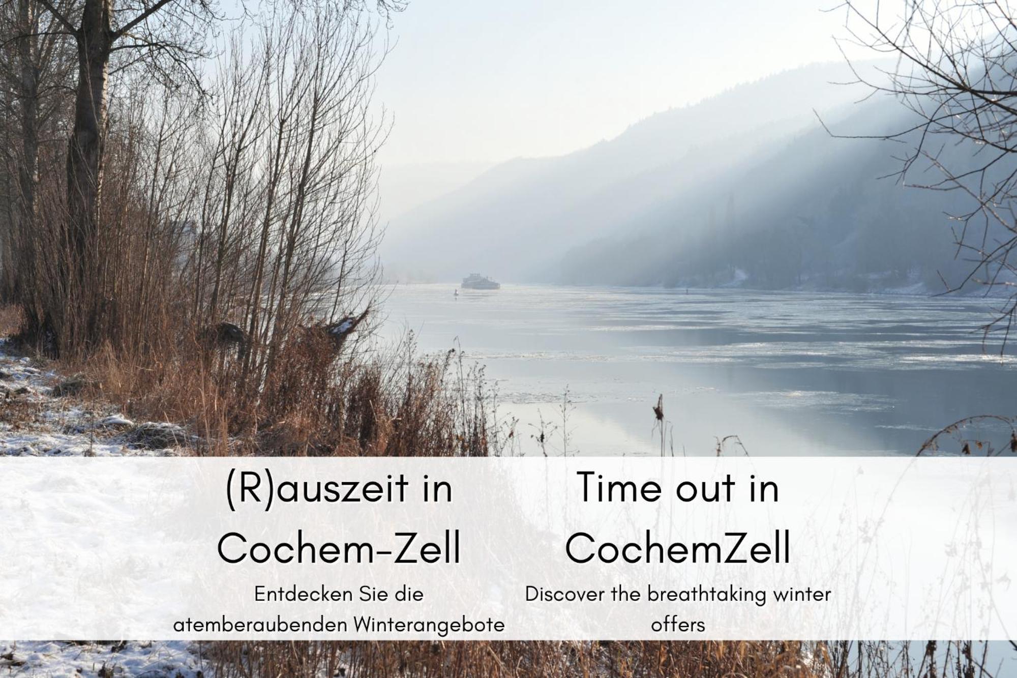 Winzerhaus Am Calmont - Terrasse Der Ruhe Διαμέρισμα Bremm Εξωτερικό φωτογραφία