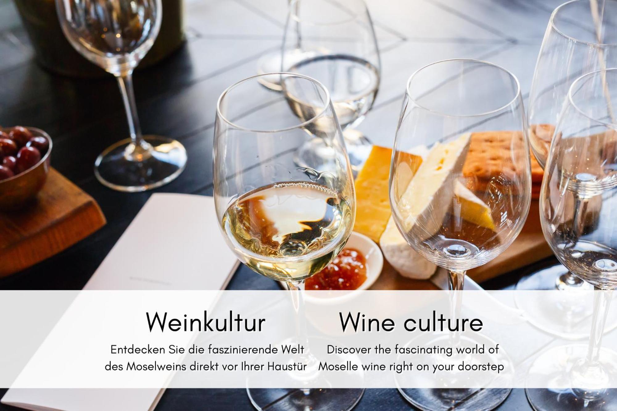 Winzerhaus Am Calmont - Terrasse Der Ruhe Διαμέρισμα Bremm Εξωτερικό φωτογραφία